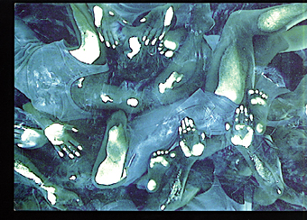 mind_04