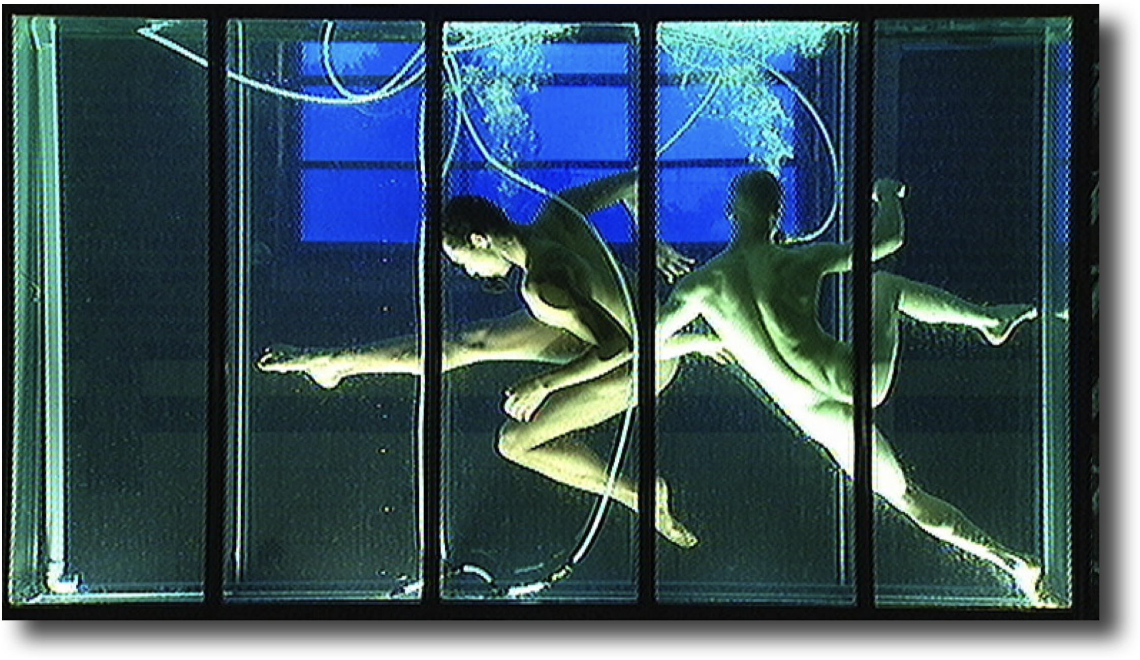 Pasted Graphic 1
