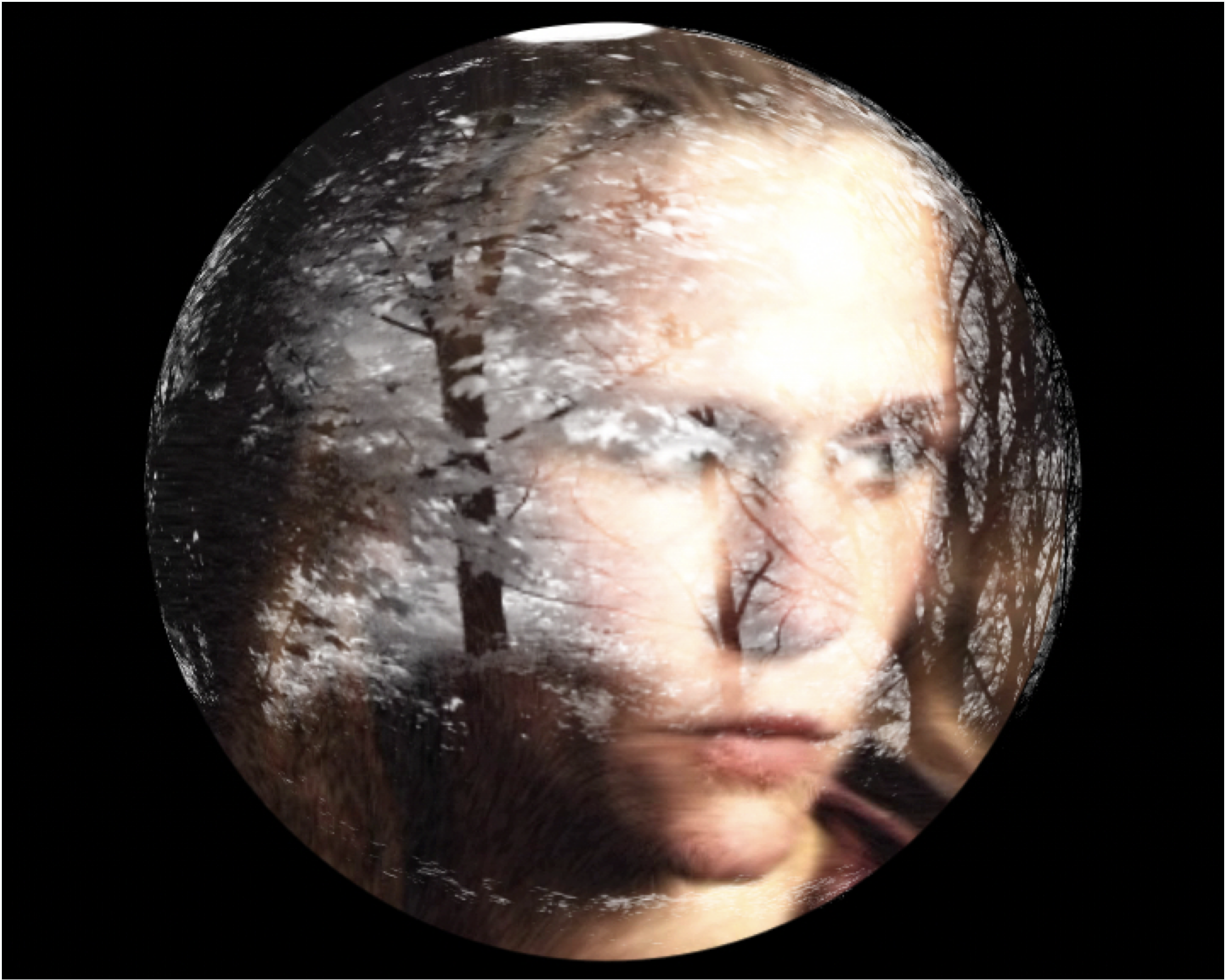 Pasted Graphic 1